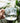 Squirrel Coffee Mug - 320ml Heat Resistant Tea Beer Cup - DecorOfficial