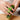 Stainless Steel Fruit Peeler and Slicer - Kitchen Gadget with Double Fingers Cutter - DecorOfficial