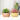 Stylish Ceramic Flower Pot - Indoor Plant Container - DecorOfficial