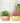 Stylish Ceramic Flower Pot - Indoor Plant Container - DecorOfficial
