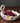 Swan Ceramic Tray Set - Elegant Fruit Bowl and Ashtray for Home Decor - DecorOfficial