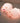 Touch Sensor Silicone LED Lamp Cute Little Piggy - DecorOfficial
