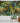 Tropical Rainforest Animal Tapestry - Nature Wall Hanging Decor - DecorOfficial