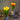 Tulip LED Night Light - Decorative Simulation Lamp - DecorOfficial