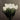 Tulip Night Lamp - Ambient Light for Relaxation - DecorOfficial