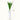 Tulip Night Lamp - Soft Glow Decorative Light for Home - DecorOfficial