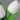 Tulip Night Lamp - Soft Glow Decorative Light for Home - DecorOfficial