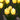 Tulip Night Lamp - Soft Glow Decorative Light for Home - DecorOfficial