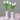Tulip Night Lamp - Soft Glow Decorative Light for Home - DecorOfficial