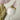 Tulip Rabbit Table Lamp - Cute Decorative Lighting for Kids - DecorOfficial
