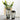 Vertical Grain Glass Vase - Elegant Home Decor Accent - DecorOfficial
