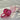 Vintage Glass Cup - Embossed Begonia Flower Design - DecorOfficial